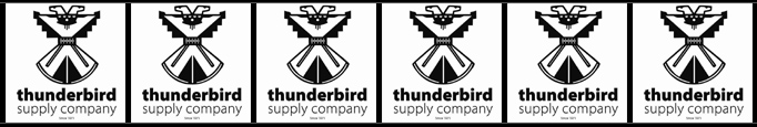 banner thunderbird careers